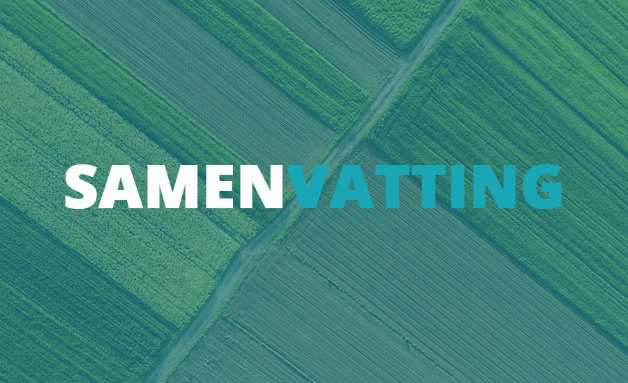 Zelf een samenvatting schrijven hoe doe je dat ExamenOverzicht